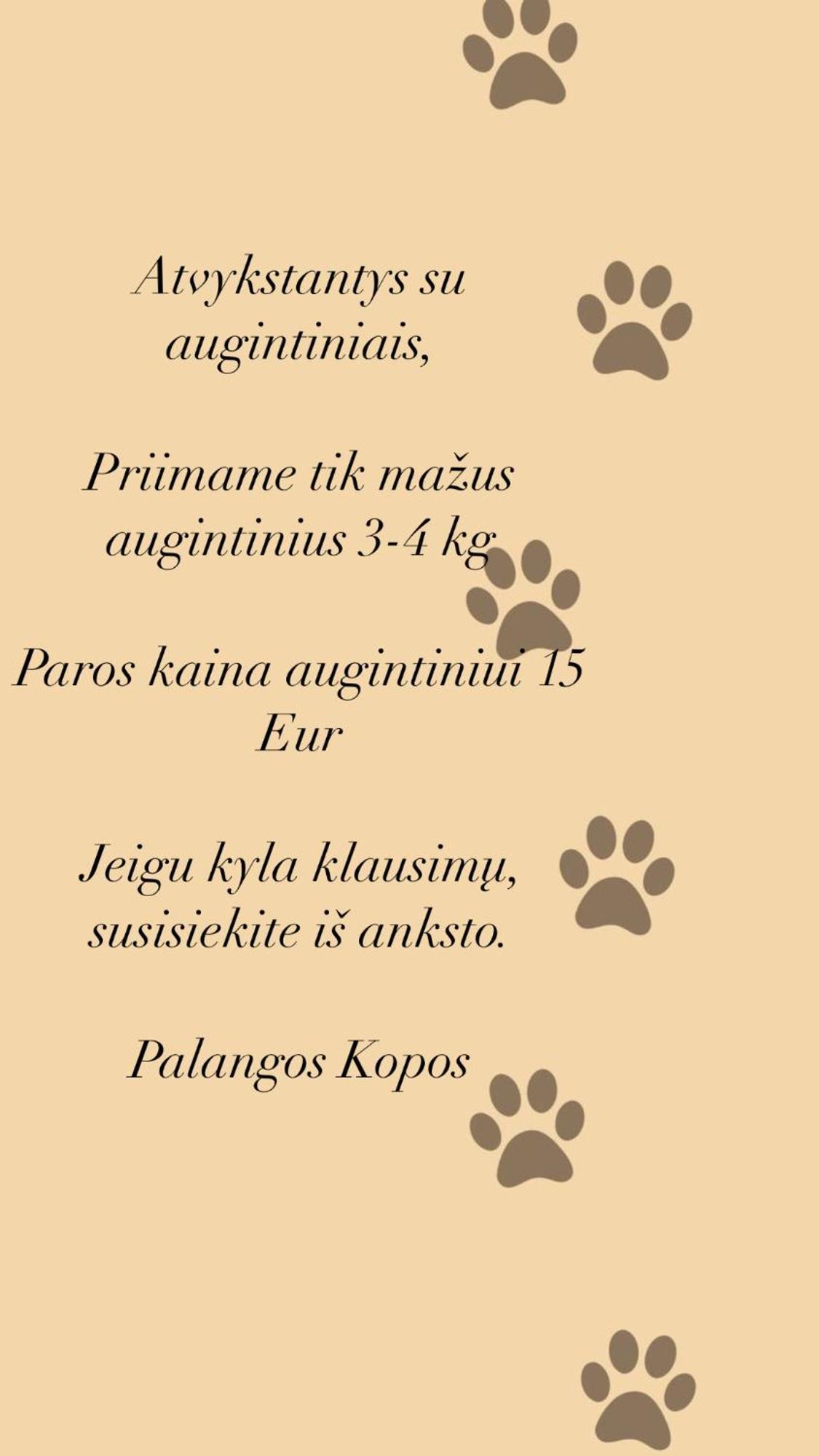 Apartamentai Palangos Kopos Lejlighed Palanga